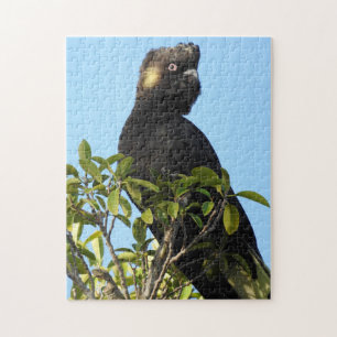 Gelbschwanzkakadu Puzzle