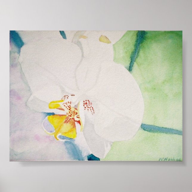 Gelbspecht Poster (Vorne)