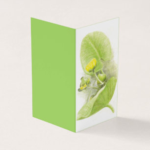 Gelbwasser-Lily-Bleistiftzeichnung Visitenkarten