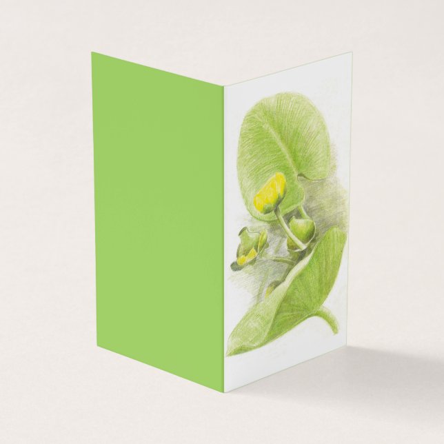 Gelbwasser-Lily-Bleistiftzeichnung Visitenkarten (Vorderseite)