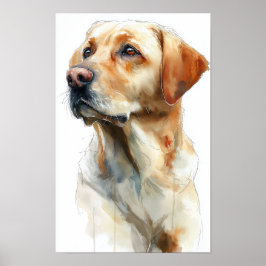 Gelbwasserfarbe eines Labrador Retrievers Poster