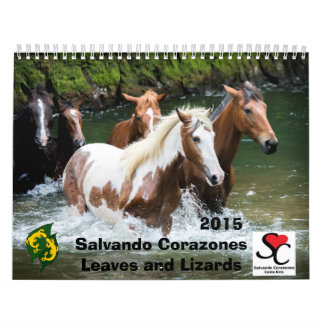 Geldbeschaffer-Kalender Salvando Corazones 2015 Kalender