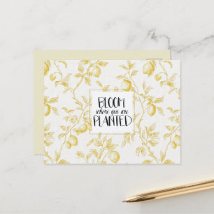 Gele Zitronen Früchte Blühen Chic Postkarte