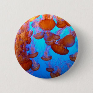 Gelee-Massenkarambolage-Knopf Button