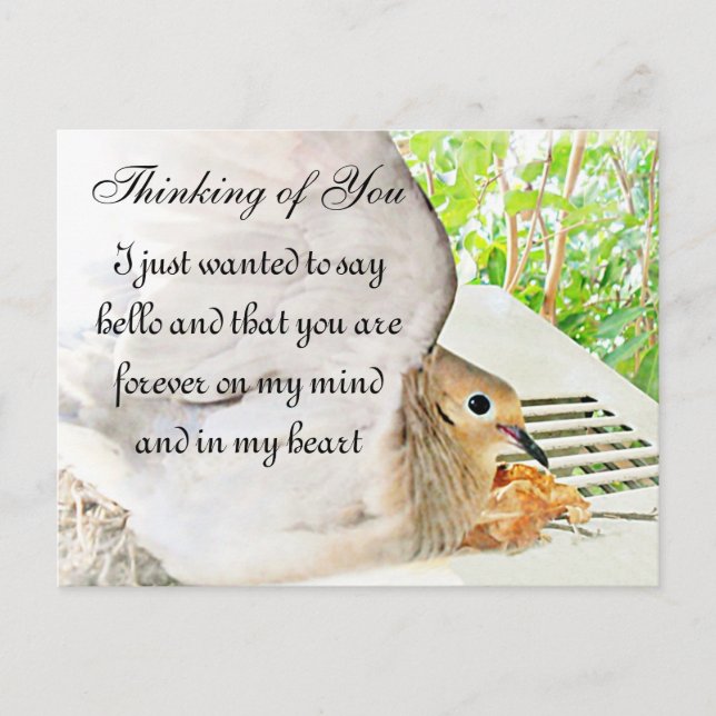 Gelegentlich_ Postkarte (Vorderseite)