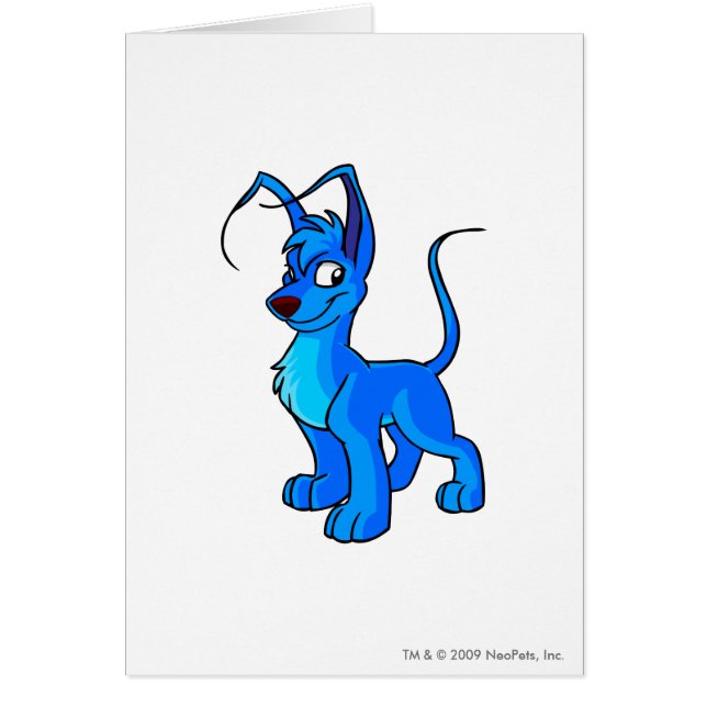 Gelert Blau (Vorne)