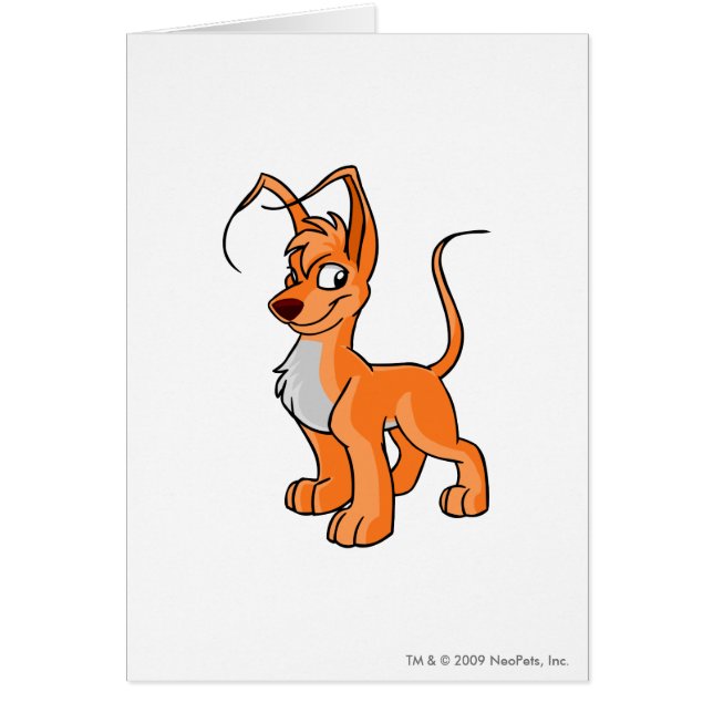 Gelert Orange (Vorne)