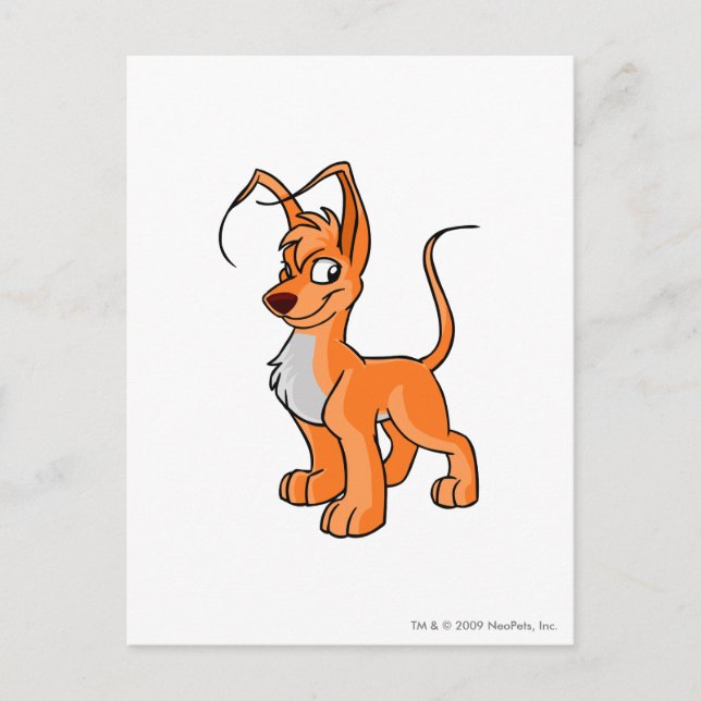 Gelert Orange Postkarte (Vorderseite)