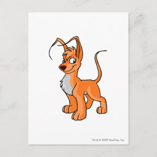 Gelert Orange Postkarte
