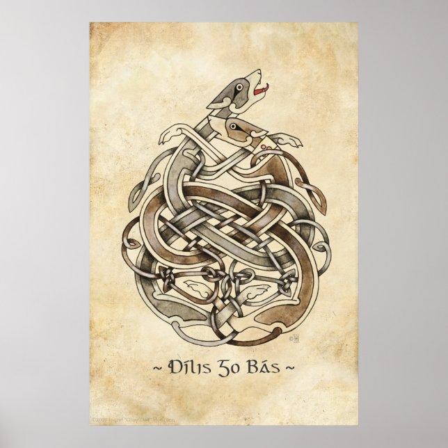 Gelert Poster (Vorne)