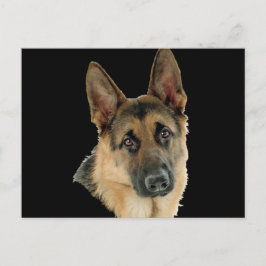 Geliebt u. durch einen Schäferhund geschützt Postkarte
