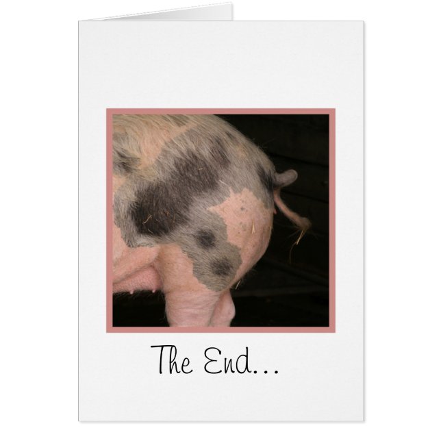 Gelockter Piggy Schwanz (Vorne)