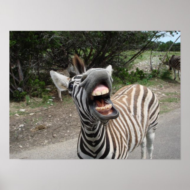 Gemälde des fröhlich zebrafarbenen poster (Vorne)