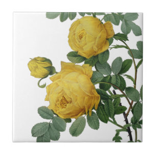 Gemälde einer gelben Rose im Vintage-Stil Fliese