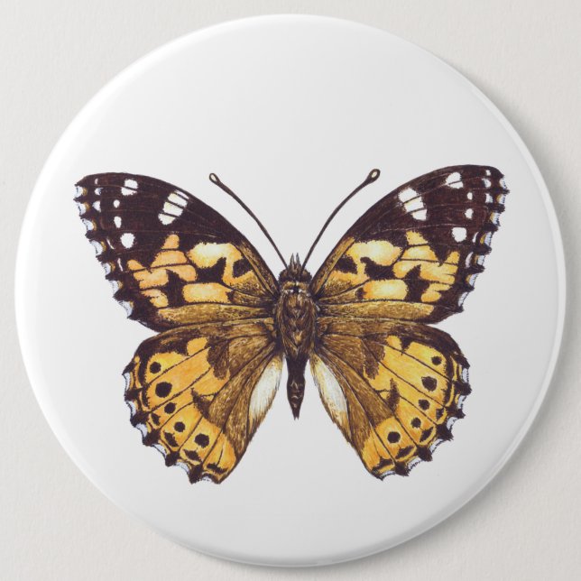 Gemäldeschmetterling Button (Vorderseite)