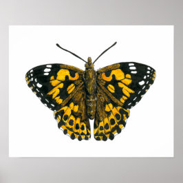 Gemäldeschmetterling Poster