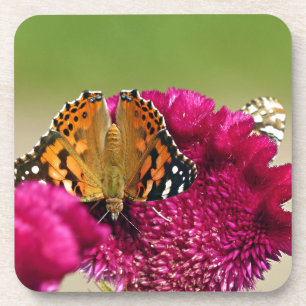 Gemäldete Lady Butterfly Getränkeuntersetzer