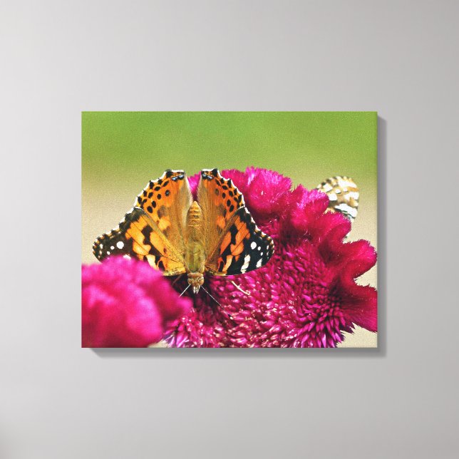 Gemäldete Lady Butterfly Leinwanddruck (Vorderseite)