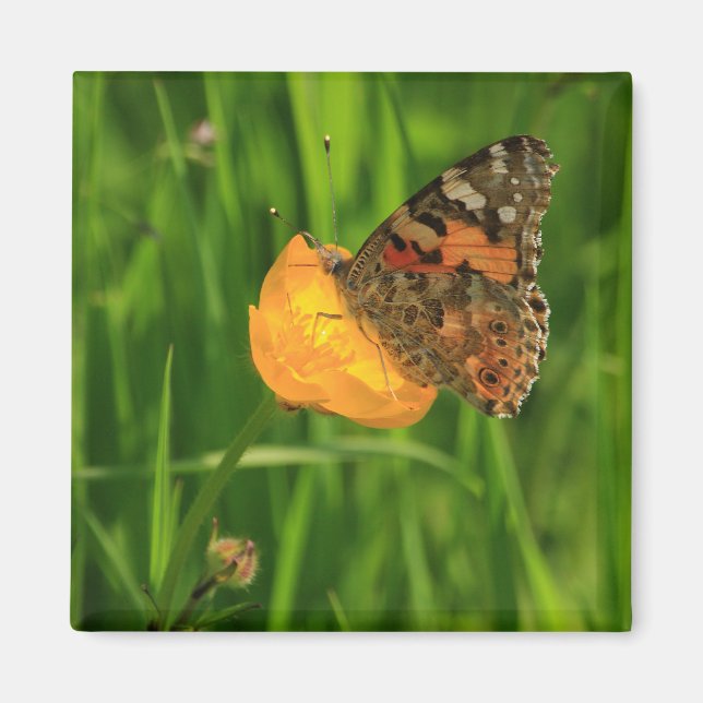 Gemäldete Lady Butterfly Magnet (Vorne)