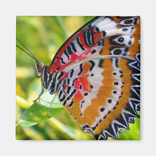 Gemäldete Lady Butterfly Magnet (Vorne)