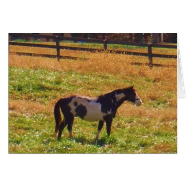 Gemäldetes Pferd in der Ferne (Vorderseite (Horizontal))