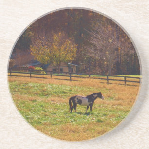 Gemäldetes Pferd in der Ferne Getränkeuntersetzer