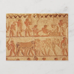 Gemäldetes Relief mit Darstellung Postkarte