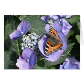 Gemalte Dame Butterfly 1
