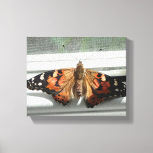 Gemalte Dame Butterfly Wrapped Canvas Leinwanddruck