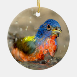 Gemalte Flagge - schöne Vogel-Verzierung Keramikornament