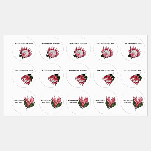 Gemalte King-Protea-Etiketten Etiketten (Blatt)