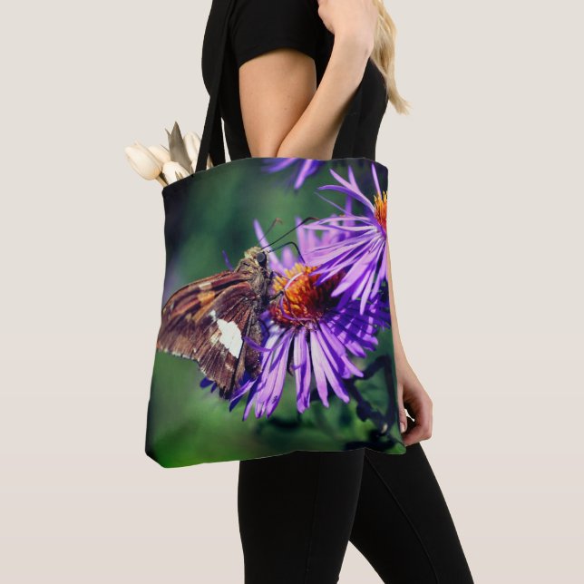 Gemalte Lady Butterfly auf Wild Aster Blume (Von Nahem)