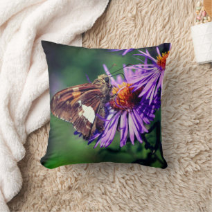 Gemalte Lady Butterfly auf Wild Aster Blume Kissen