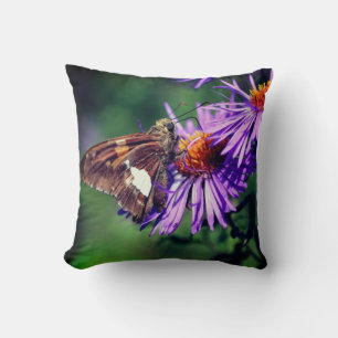 Gemalte Lady Butterfly auf Wild Aster Blume Kissen
