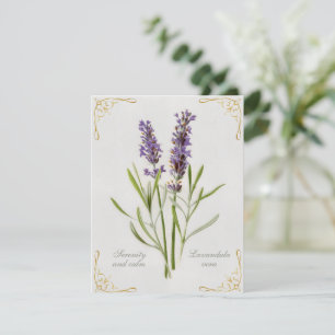 Gemalte Lavandula Vera Ruhe und Gelassenheit