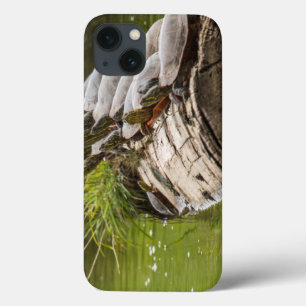 Gemalte Schildkröten, die in einem Teich sich Case-Mate iPhone Hülle
