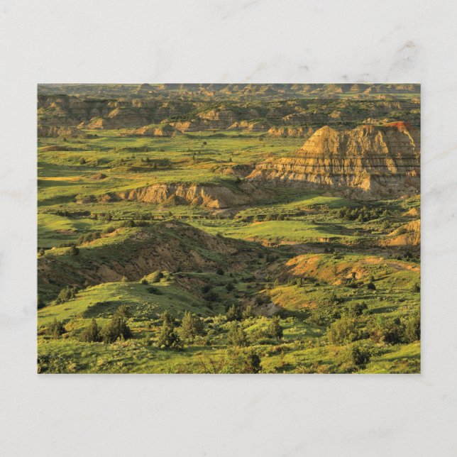 Gemalter Canyon nach Sturm in Theodore Roosevelt Postkarte (Vorderseite)