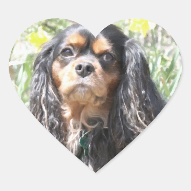 Gemalter Cavalier King Charles Spaniel Herz-Aufkleber (Vorderseite)