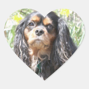 Gemalter Cavalier King Charles Spaniel Herz-Aufkleber