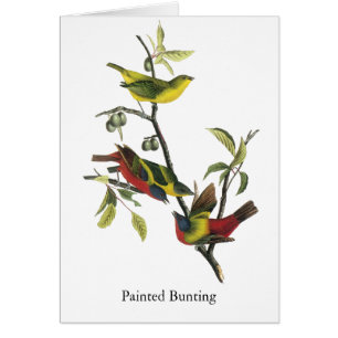 Gemalter Flaggen-Druck Johns Audubon