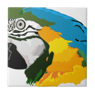 Gemalter gelber blauer Macaw-Papagei Fliese