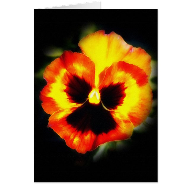 Gemalter Pansy (Vorne)