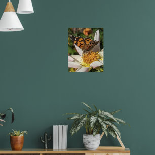 Gemalter Schmetterling auf weißer Dahlie Poster