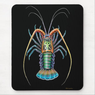 Gemalter stacheliger Hummer Mousepad