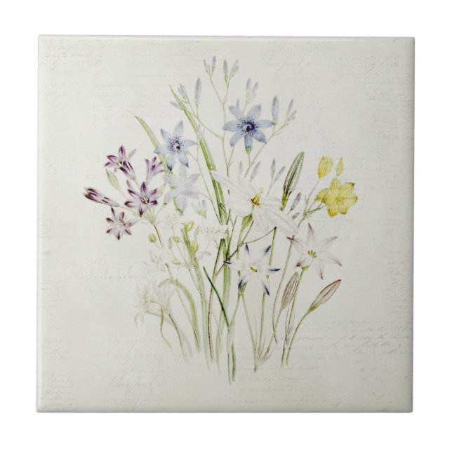 Gemaltes Conanthera Blumen-Blumenstrauß-Vintages Fliese (Vorderseite)