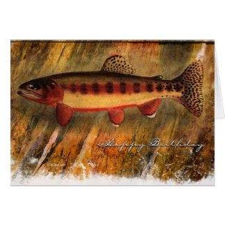Gemaltes Fisch-BD