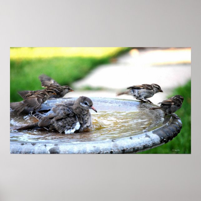 Gemeindebad Poster (Vorne)