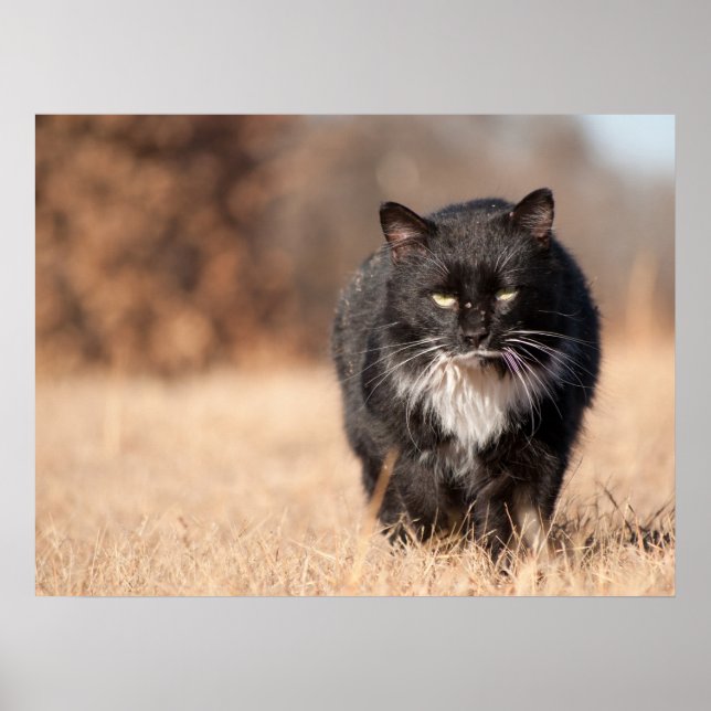 Gemeine Bildverarbeitungssoftware Poster (Vorne)