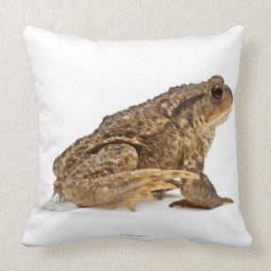 Gemeine Kröte oder europäische Kröte (Bufo bufo Kissen