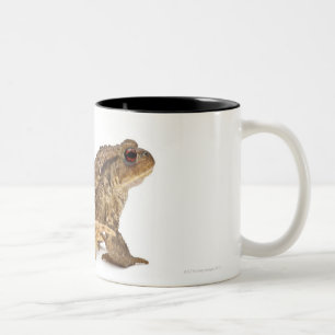 Gemeine Kröte oder europäische Kröte (Bufo bufo Zweifarbige Tasse